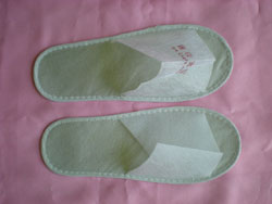 slipper-2.jpg